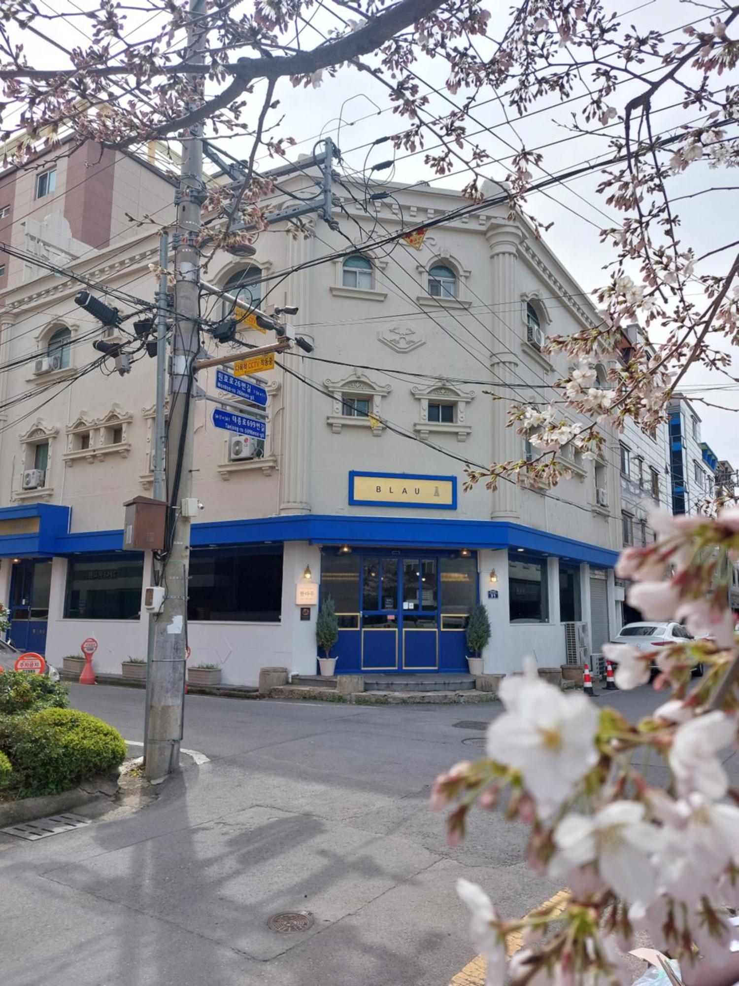 Blau Guesthouse 慶州市 エクステリア 写真